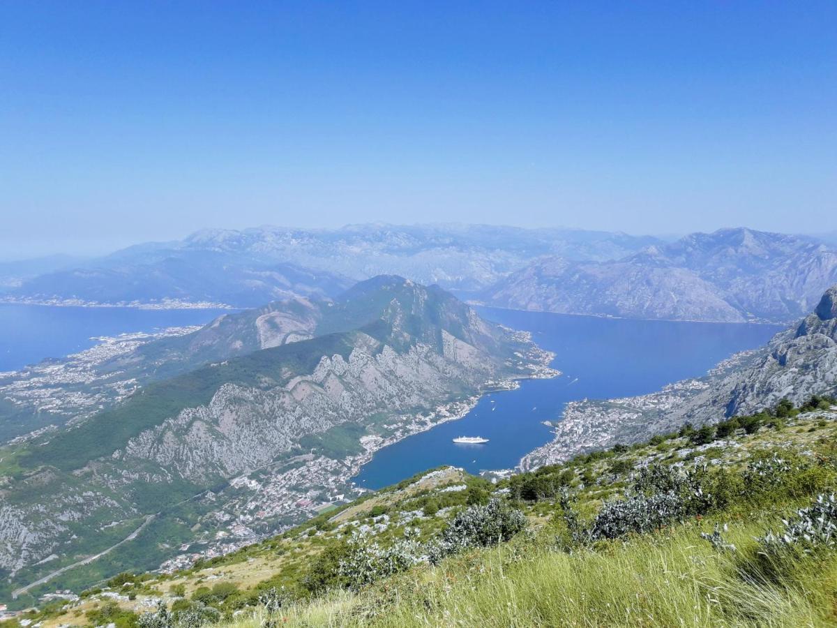 La Dolce Vita Apartment Kotor Ngoại thất bức ảnh